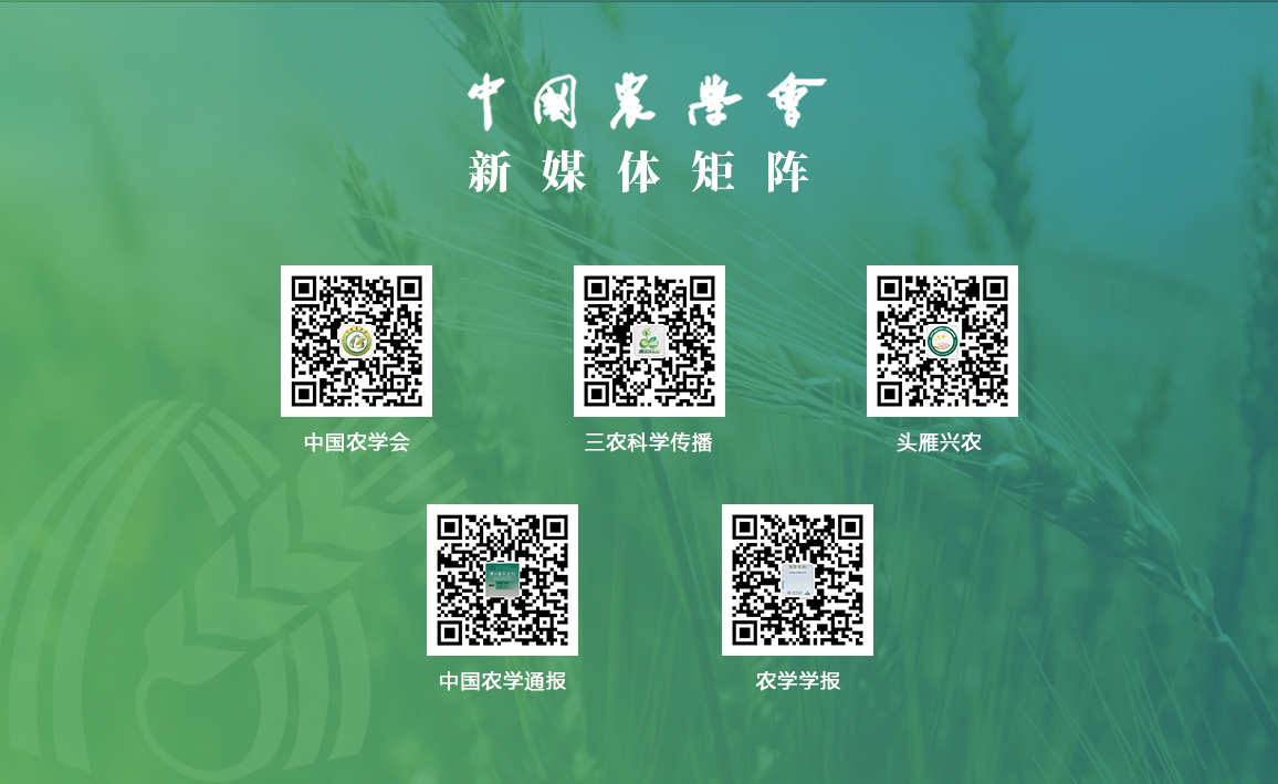 微信图片_20250824092217_1185.jpg