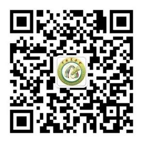 杂粮二维码