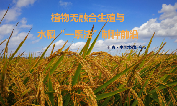 图四