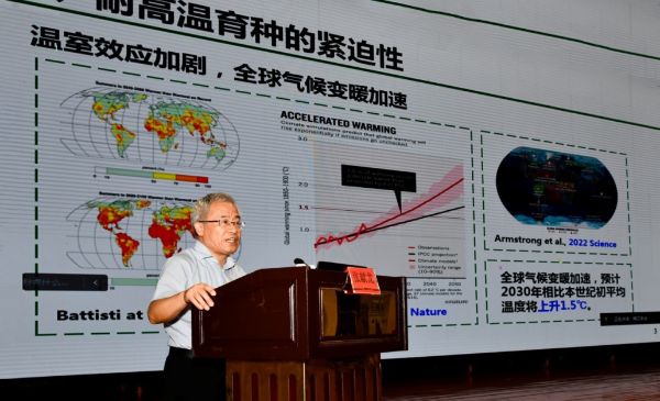 张献龙（中国农学会棉花分会名誉主任委员）：