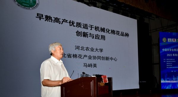 马峙英（中国农学会棉花分会名誉主任委员）：