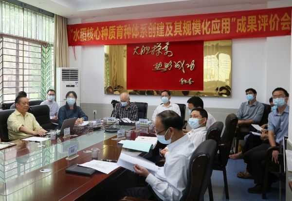 我会组织专家对“水稻核心种质育种体系创建及其规模化应用”等成果开展评价