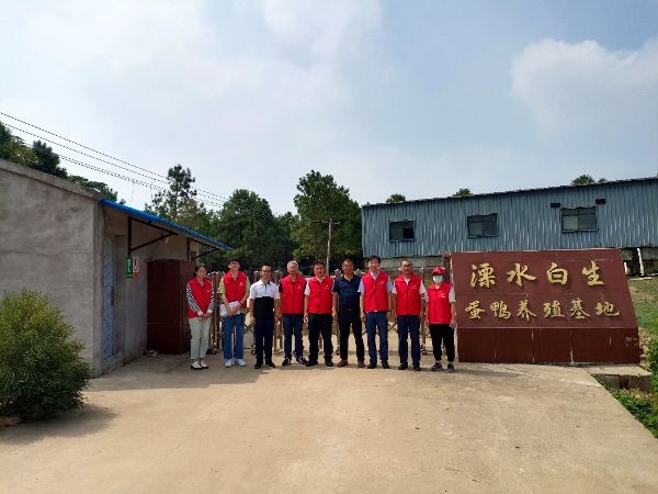 蛋鸭养殖基地