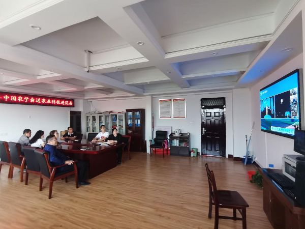 河南分会场