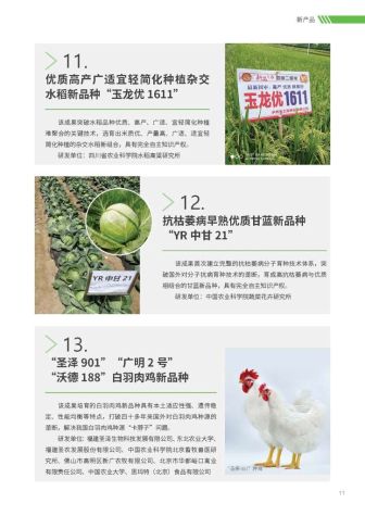 农学会三新-06(宣传册)13