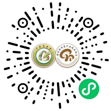 扫码进入小程序