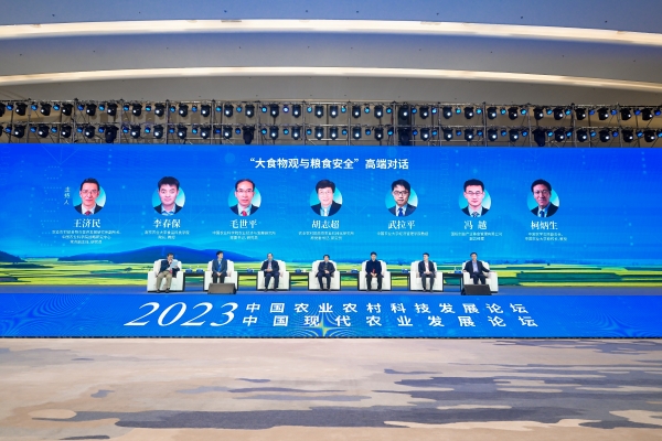 双论坛8