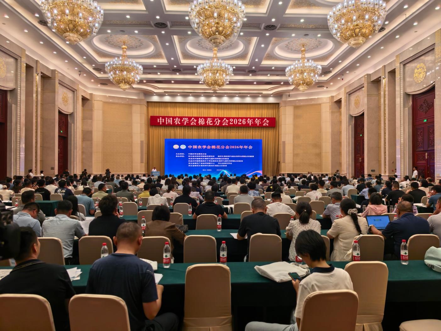 棉花分会图片.jpg